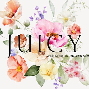 Watercolor floral clipart set with peach, pink, purple, and white blossoms