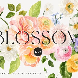 Watercolor floral clipart with peach and white flowers, green leaves, and 'BLOSSOM' text