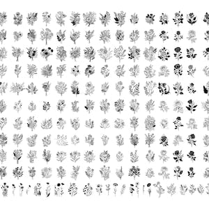 Botanical SVG cut file bundle with floral bouquets, leaves, and branches icons