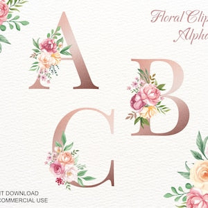 Watercolor floral alphabet clipart featuring pastel pink and peach monogram letterforms