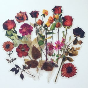 Large dried flowers sticker set with pressed roses and wildflower mix, assorted shapes