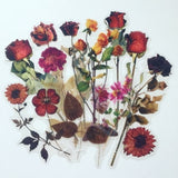 Large dried flowers sticker set with pressed roses and wildflower mix, assorted shapes