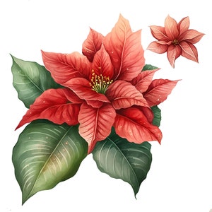 Watercolor poinsettia flower clipart with red blooms and green leaves, 3 pieces