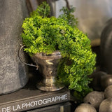 Faux Moss, artificial greenery, DIY flower arrangement, green faux plant, decorative green grass stems, home decor, water pond, forest floor