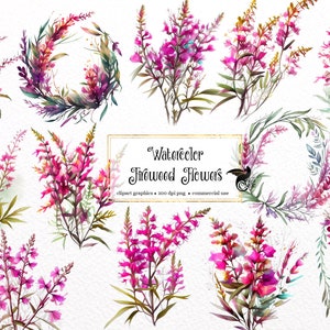 Watercolor fireweed flower clipart with multiple pink-purple bouquets and a wreath