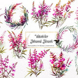 Watercolor Fireweed Flowers Clipart - floral Alaskan flowers and bouquets in PNG format instant download for commercial use