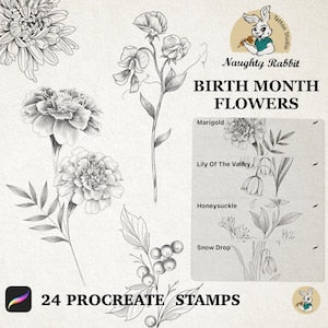 Birth month flowers Procreate stamp set with monochrome botanical brush drawings