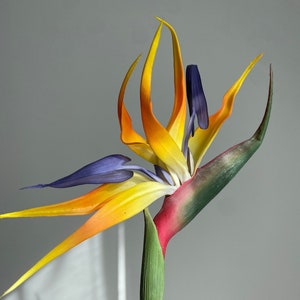 Bird of paradise artificial flower stem with yellow-orange petals and blue-purple accents