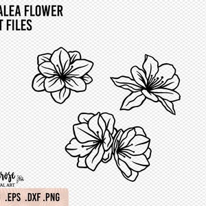 Azalea floral line art set with three outlined flowers, black ink style