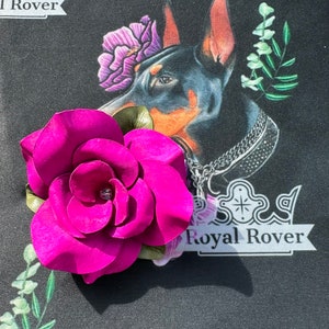 Pink leather flower dog collar accessory