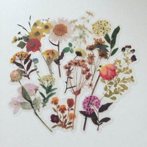 Wildflower sticker set with pressed meadow flowers, leaves, and stems in pastel tones