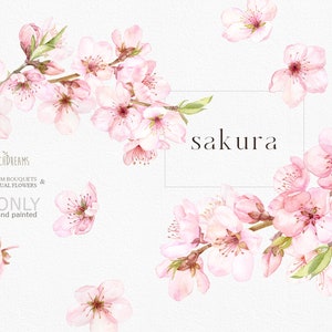 Watercolor cherry blossom clipart with pink sakura flowers and branching stems, set of elements