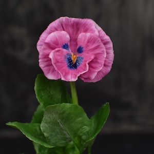 Pink ceramic pansy flower with green leaves, realistic touch stem and petals