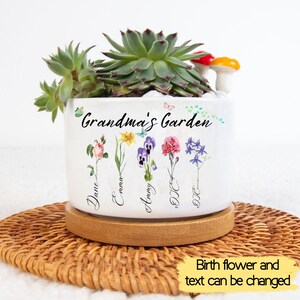 Mini plant pot with succulent, 'Grandma's Garden' print and birth-flower text
