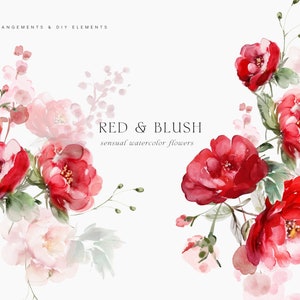 Watercolor floral clipart with red and blush roses and soft pink blossoms