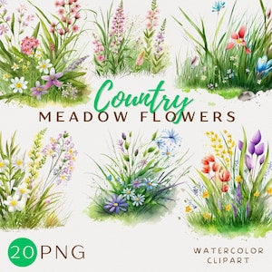 Watercolor meadow flowers clipart set with green grass, colorful blooms and leaves