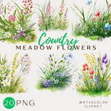 Meadow Flowers Watercolor Clipart Craft Floral Grass Digital Download Card Making Flower Greenery Digital Colorful Fields Scrapbooking
