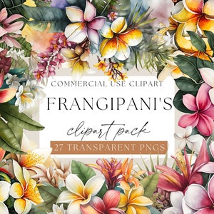 Watercolor frangipani flower clip art set with colorful blossoms on transparent PNGs