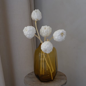 Preserved white lotus flower stems in amber glass vase with gold ribbon