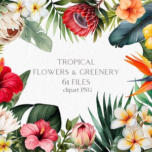 Tropical flowers greenery Watercolor Clipart PNG - summer leaves hibiscus hawaiian protea exotic plumeria plants palm leaves wedding #b33