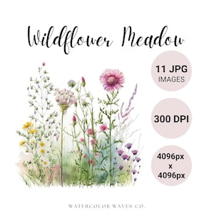 Watercolor spring wildflower meadow clipart with mixed pink, purple and white flowers
