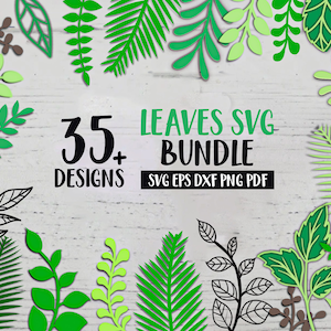 Green leaf illustration SVG bundle with assorted leaf shapes and veins