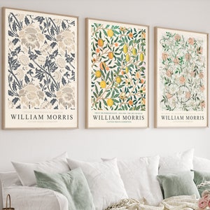 Set of 3 framed William Morris floral art prints, multi-color botanical designs