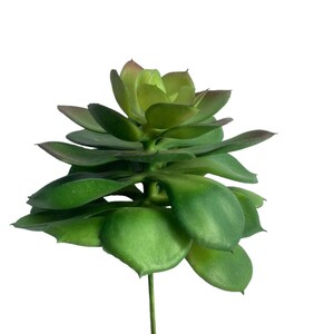 Artificial succulent plant with layered natural green leaves on a stem
