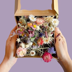 Dried wildflower craft mix in an open kraft box, assorted pastel and dark blooms