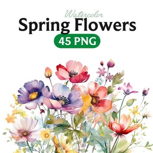 Watercolor spring flowers clipart bouquet set, colorful mixed blooms in transparent PNG