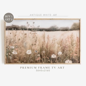 Samsung Frame TV art: warm-toned wildflower meadow landscape with daisies, framed