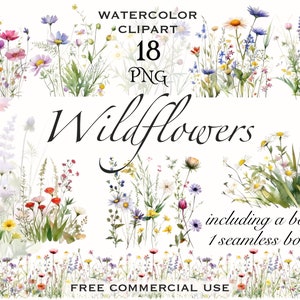 Watercolor wildflower clipart PNG pack with mixed flower blooms and leaves