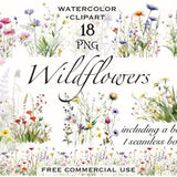 Wildflower meadow clipart, Summer floral nature images, Wild flowers png for print, collage, scrapbook, junk journal etc Free commercial use