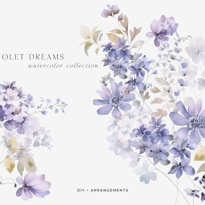 Watercolor wild violet flowers clipart with bouquets and leaves, purple and cream tones