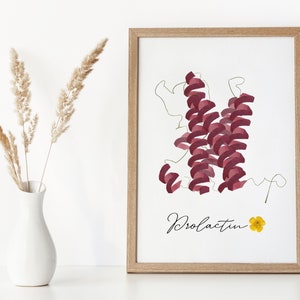 Framed pressed-flower molecule wall art with maroon floral clusters and script text