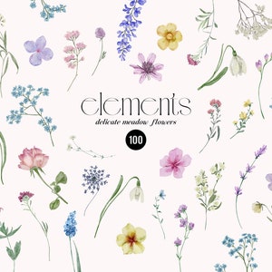 Watercolor wildflower clipart elements set with small blue, purple, pink flower illustrations