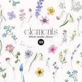 Watercolor Wild Florals wildflower floral clipart Elements DIY, Delicate pressed field flowers, Tiny flowers wedding invititation PNG