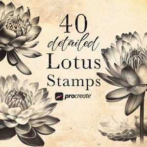 Lotus flower stamp brush set with water lily blossoms, for Procreate (digital stamps)