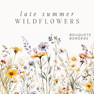 Watercolor wildflower bouquet clipart with floral border elements and meadow blooms