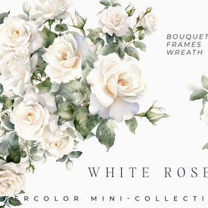 Watercolor white rose bouquet clipart with soft green leaves, PNG-style floral set