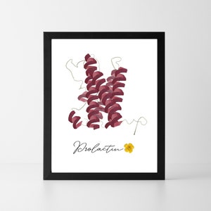 Printable prolactin molecule wall art in black frame with pressed-flower molecule design