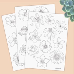 Learn to draw flowers, Tracing guides, coloring pages, printable worksheet, digital download, Hibiscus, Rose, Daffodil, Anemone and more