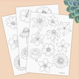 Learn to draw flowers, Tracing guides, coloring pages, printable worksheet, digital download, Hibiscus, Rose, Daffodil, Anemone and more