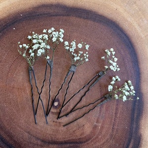 Gypsophila baby breath dried flower hair pins with black stems, set of 5.