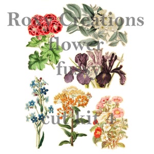 Fussy-cut flowers printable kit with detailed botanical flower stickers in assorted colors