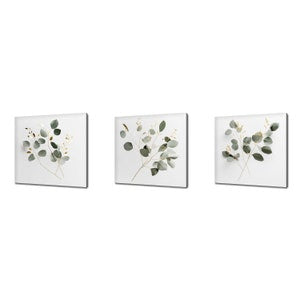 Set of three square canvas art prints with eucalyptus branches and green leaves