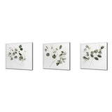 Set of Three Eucalyptus Canvas Art Print Picture Wall Hanging Handmade Home Decor Customised Gifts Wall Art Fast Free UK Delivery