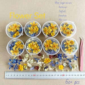 Mixed dried small flowers for resin craft, yellow blossoms in white cups with blue accents