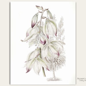 Botanical flower art print with soft purple and white illustrated blooms on a light background