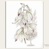 Antique Botanical Art Print/ Farmhouse Vintage Flower Illustration Wall Art/ Digital Download/ Printable Wall Decor/Accent Art Studios BOT20